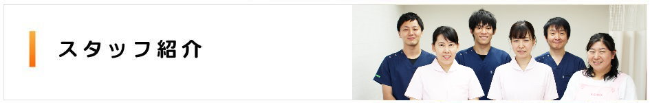 スタッフの紹介